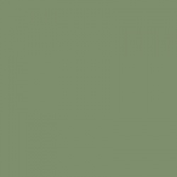 BS381-283 Aircraft Grey Green Aerosol Paint